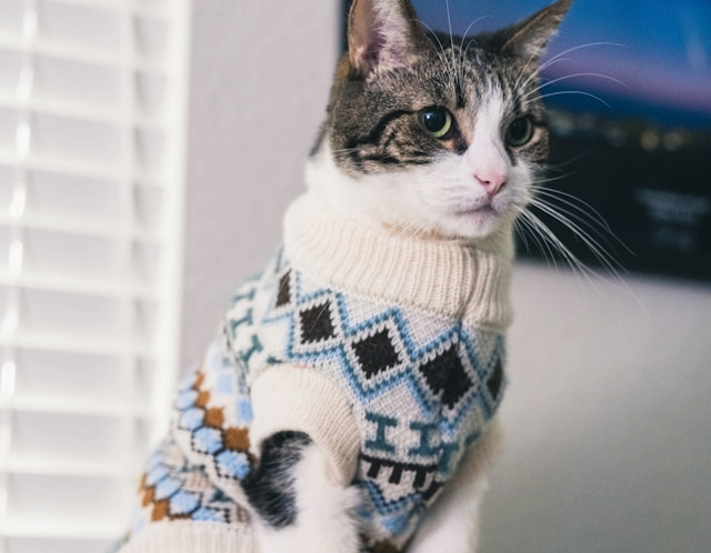 Picture for category Cat Medical Apparel